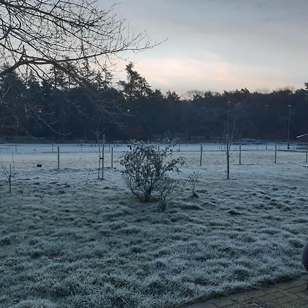 Natuurslaapkamer De Zaadeest Boskamer Lomm Exteriör bild