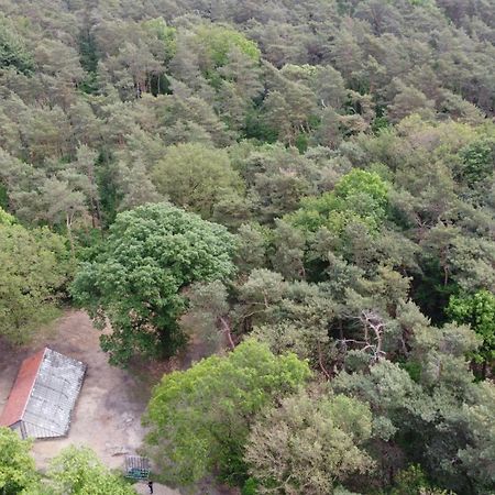 Natuurslaapkamer De Zaadeest Boskamer Lomm Exteriör bild