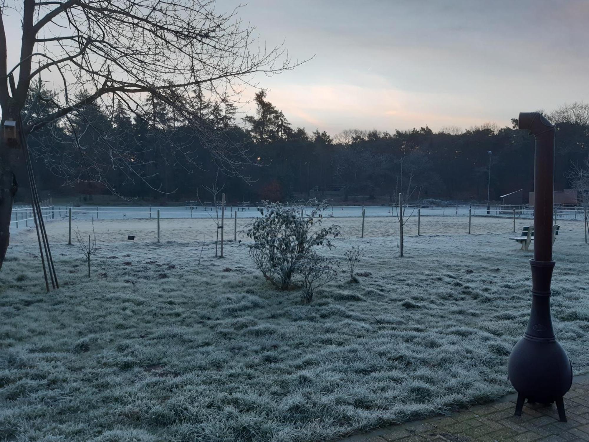 Natuurslaapkamer De Zaadeest Boskamer Lomm Exteriör bild