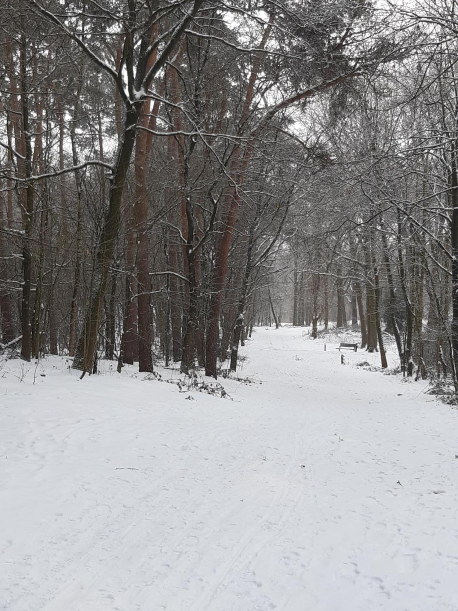 Natuurslaapkamer De Zaadeest Boskamer Lomm Exteriör bild