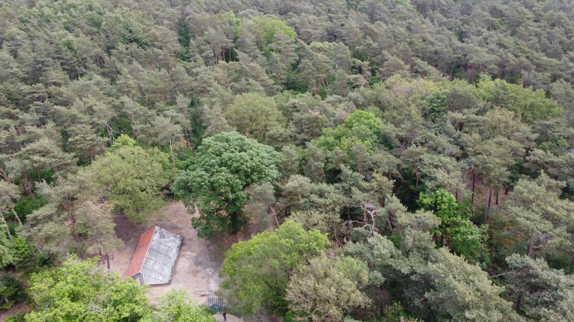 Natuurslaapkamer De Zaadeest Boskamer Lomm Exteriör bild
